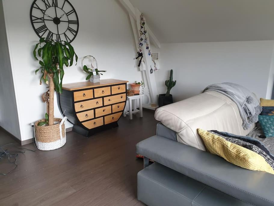 Appartement De La Laiterie Avec Petit Jardin. Eysus エクステリア 写真