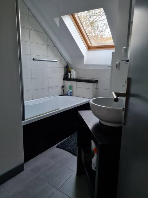 Appartement De La Laiterie Avec Petit Jardin. Eysus エクステリア 写真