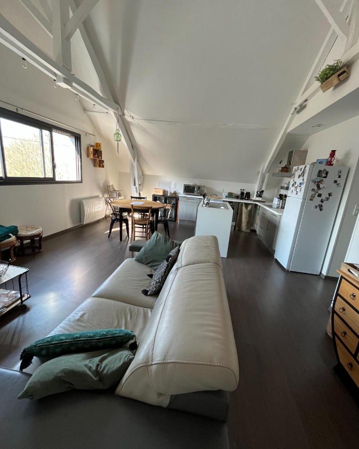 Appartement De La Laiterie Avec Petit Jardin. Eysus エクステリア 写真